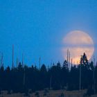 Mondaufgang im NP Bayerischer Wald