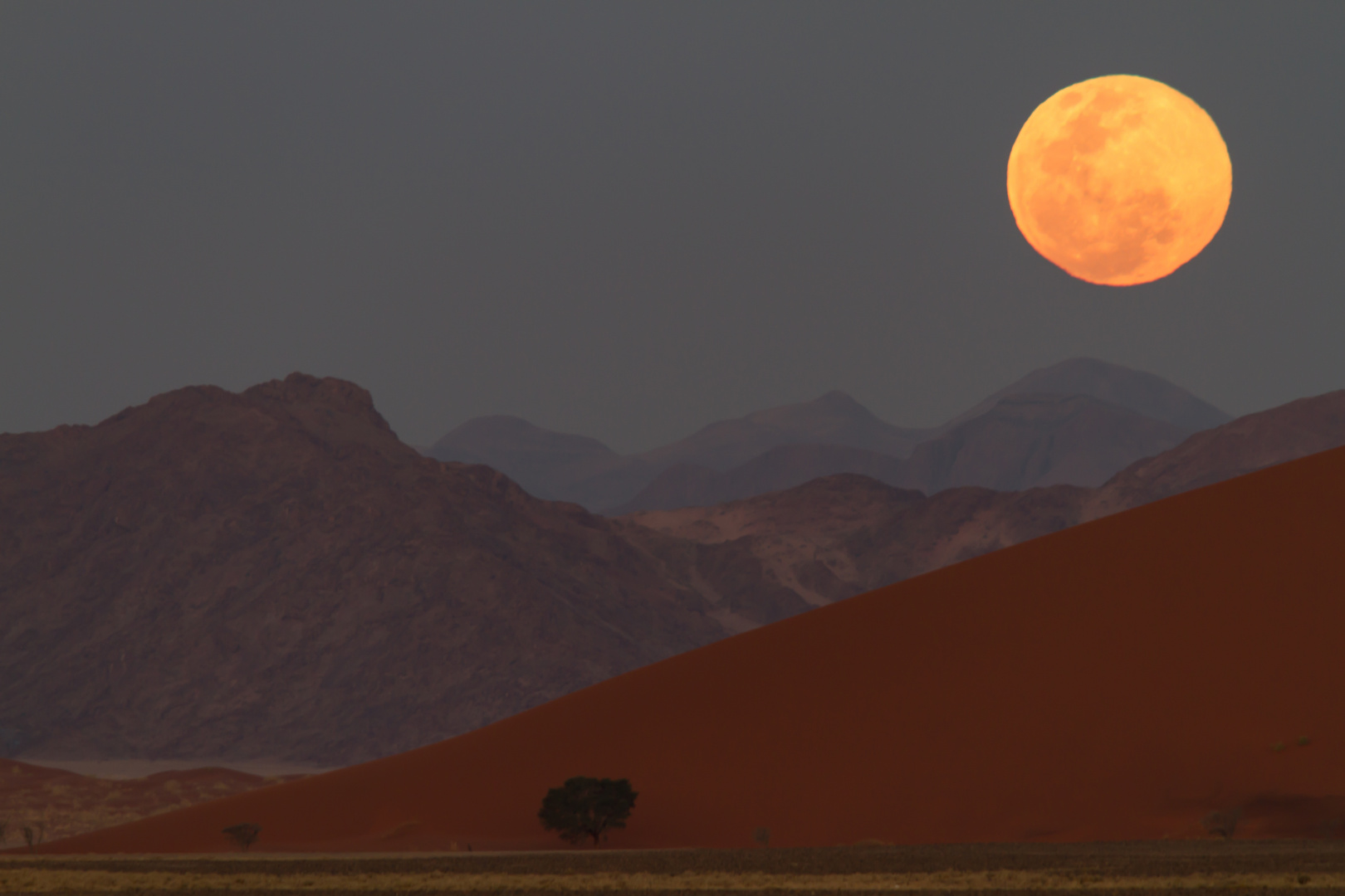 Mondaufgang in der Namib