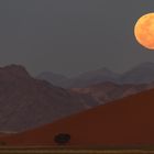 Mondaufgang in der Namib