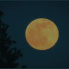 Mondaufgang Samstag Abend