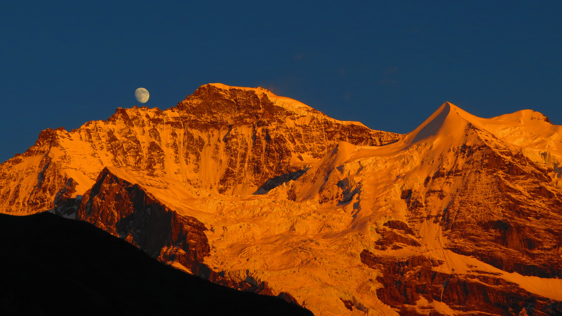 Mondaufgang über dem Gipfel der Jungfrau