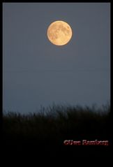 Mondaufgang über den Dünen.