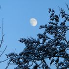 Mondaufgang über einer kalten Schneelandschaft