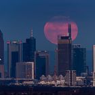 Mondaufgang über Frankfurt