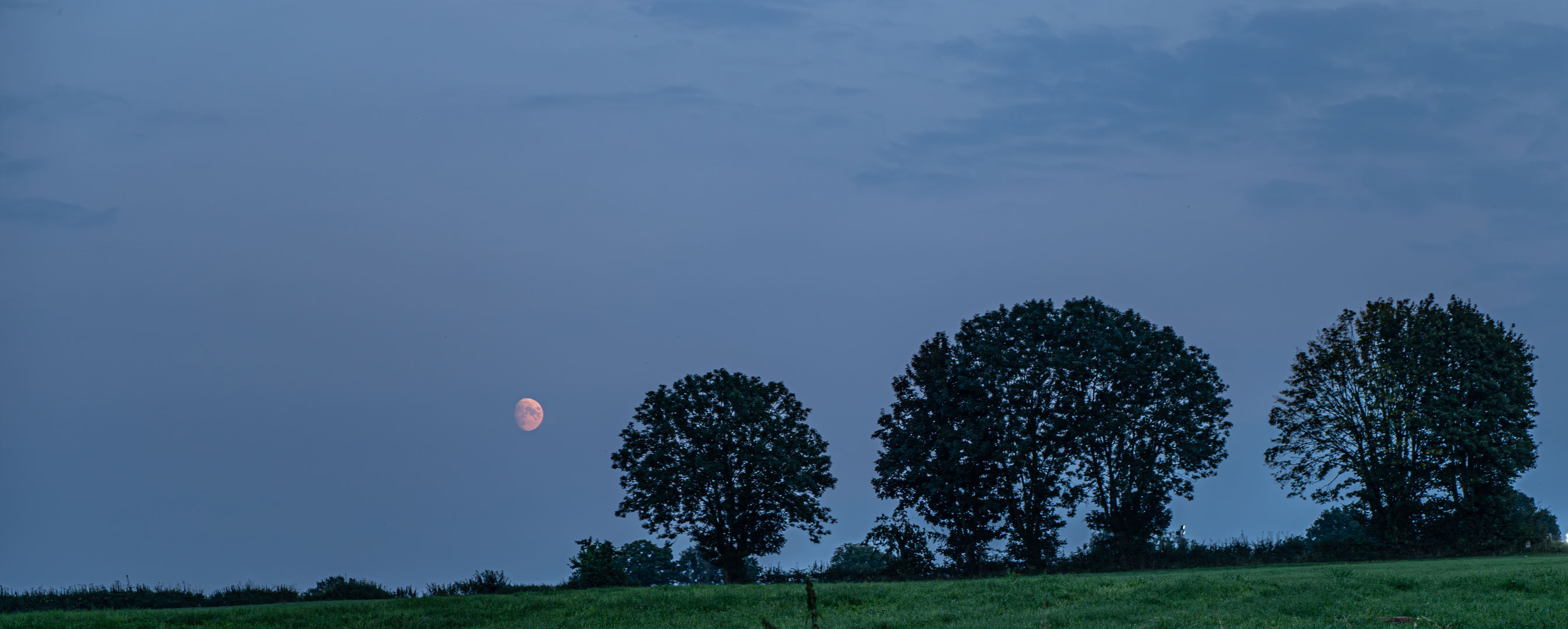 Mondaufgang zur Blauen Stunde