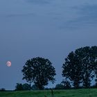 Mondaufgang zur Blauen Stunde