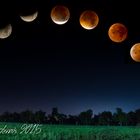 Mondfinsternis 2015 Collage