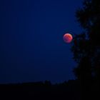 Mondfinsternis 27. Juli 2018 (1)