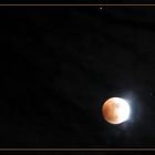 Mondfinsternis am 21.02.02