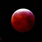 Mondfinsternis Blutmond 2019 - Bi 3  