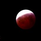 Mondfinsternis Blutmond 2019 - Bi 4