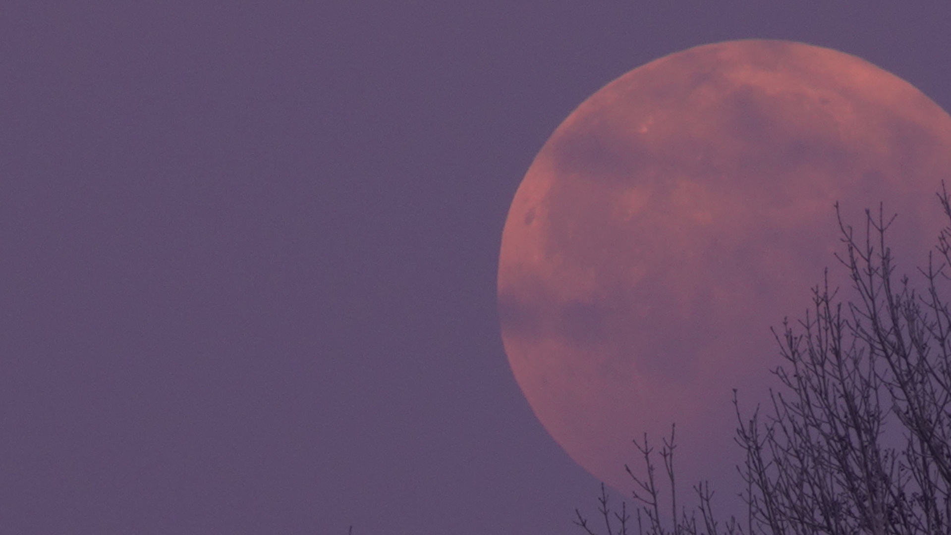 Mondfinsternis - Blutmond 21.Januar 2019 