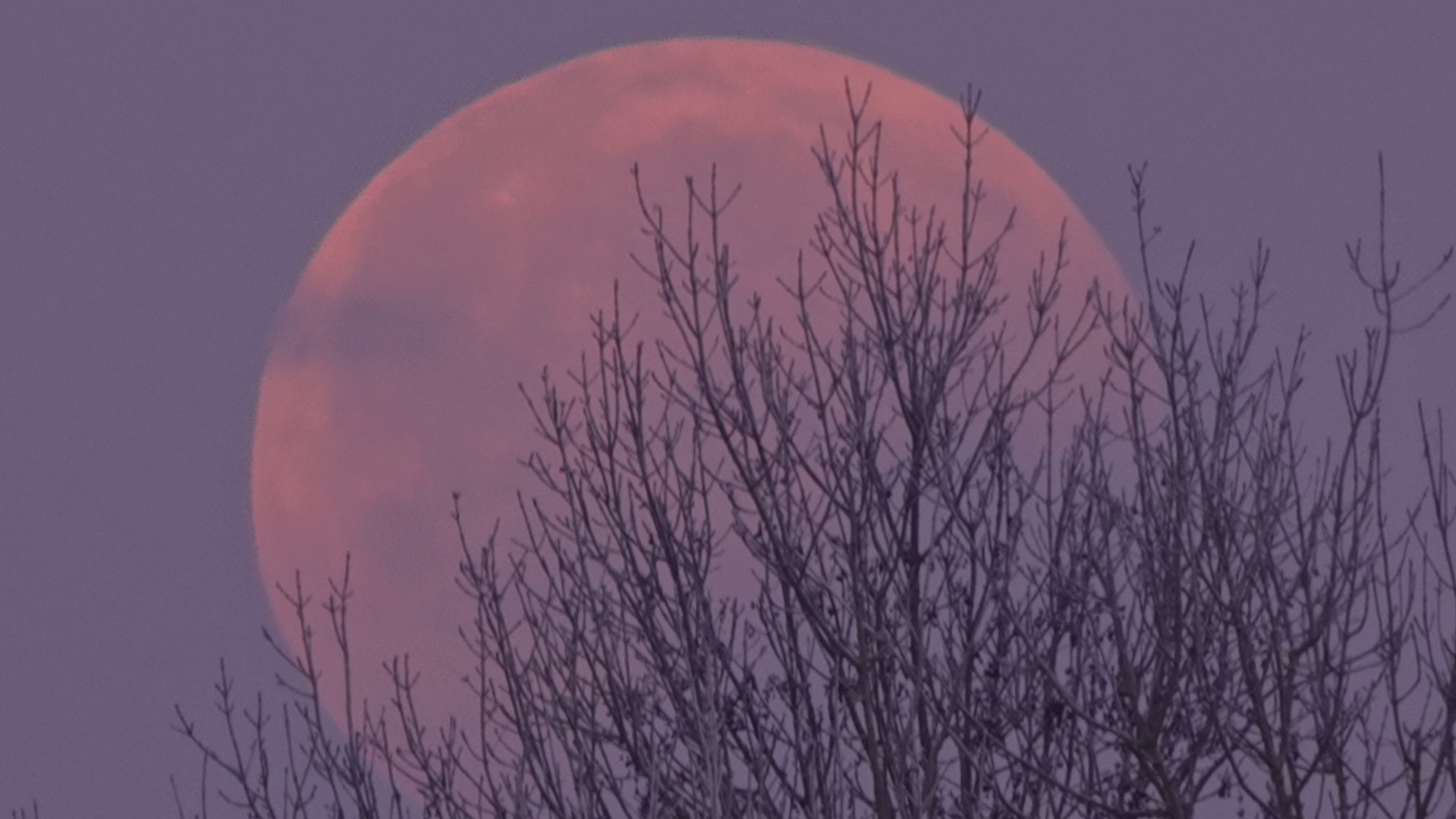 Mondfinsternis - Blutmond 21.Januar 2019 