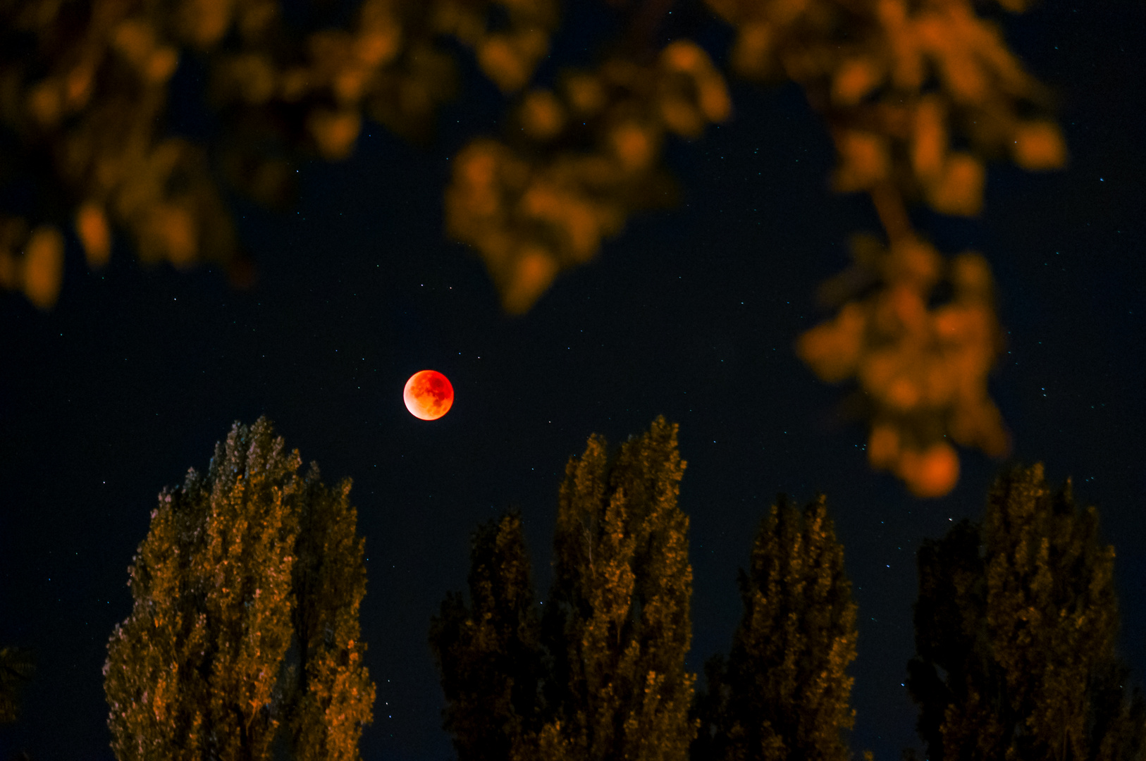 Mondfinsternis im Stadtgebiet Freiburgs