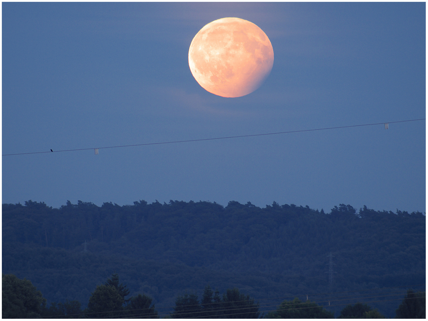 Mondfinsternis über dem Horizont