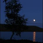Mondfinsternis zur blauen Stunde
