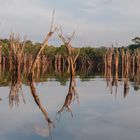 Mondlandschaft am Rio Negro