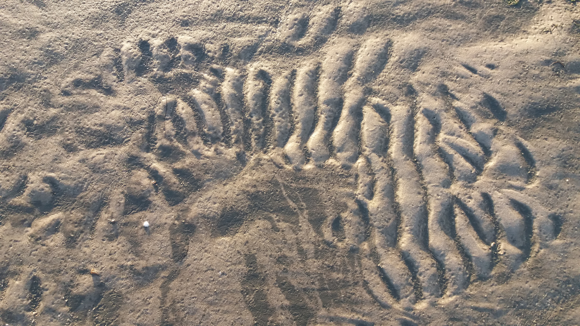 Mondlandschaft - Wattboden bei Ebbe #2