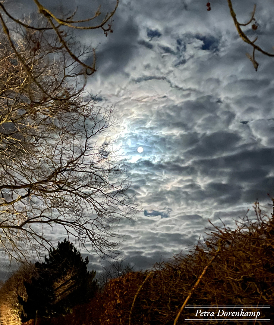 Mondlicht auf der Stadtmauer 