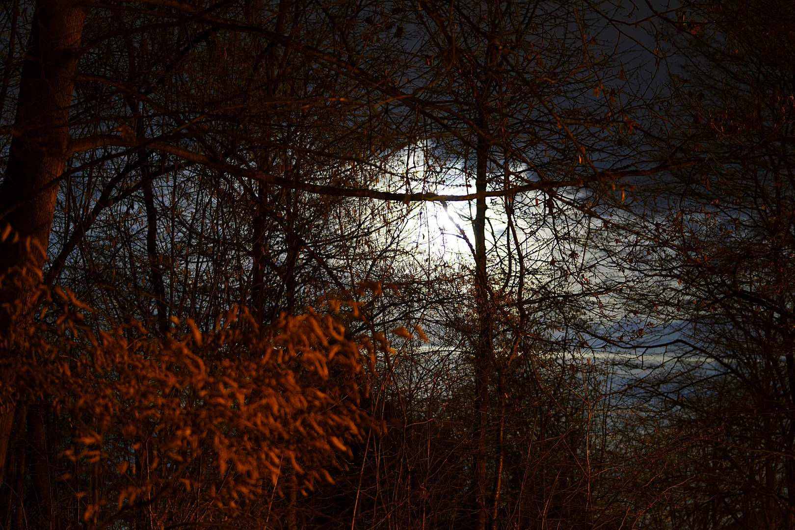 Mondlicht im Winter 5