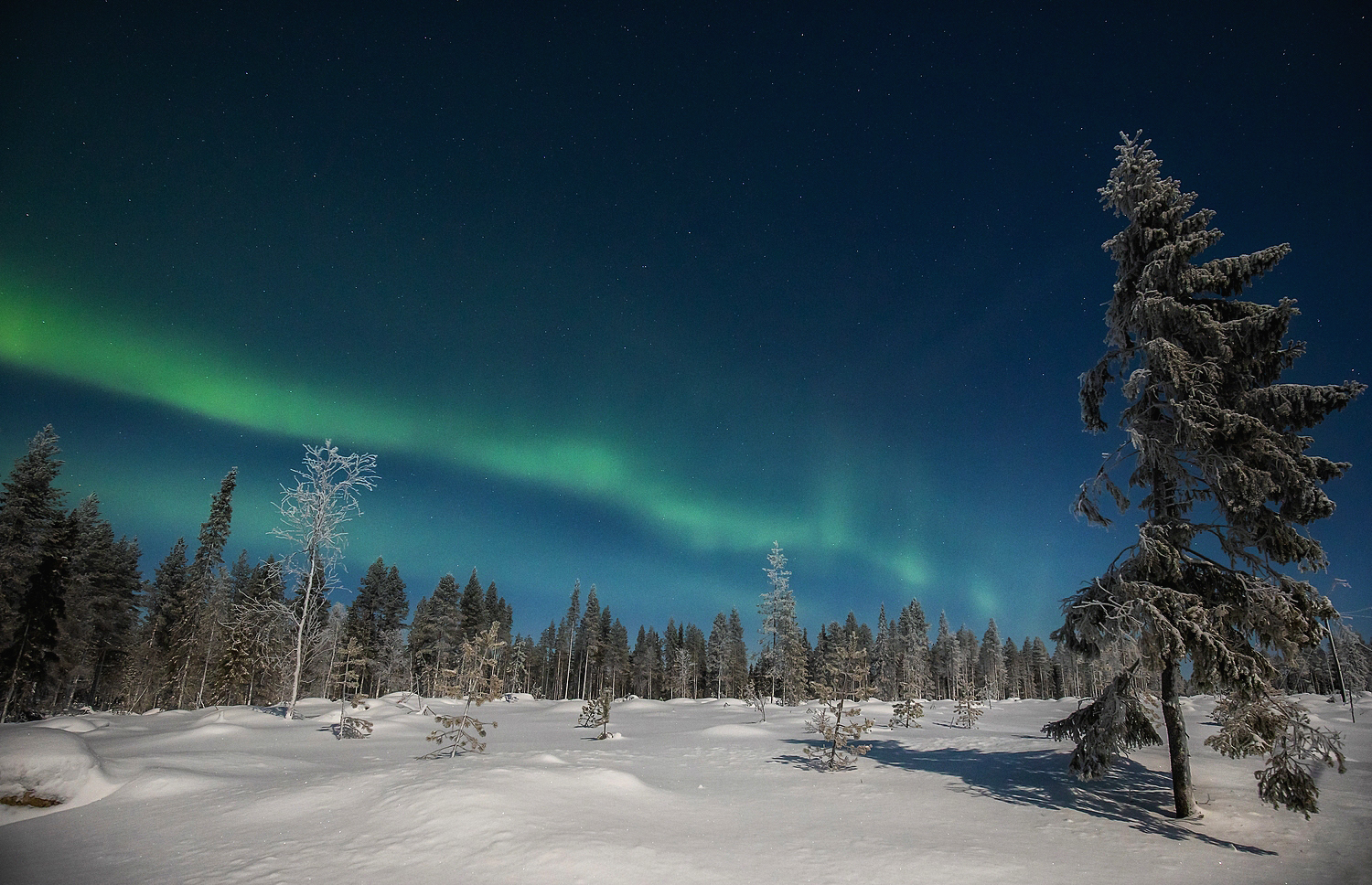 Mondlicht trifft Aurora Borealis