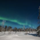 Mondlicht trifft Aurora Borealis