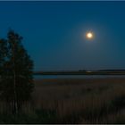 Mondlicht über dem Bodden