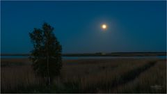 Mondlicht über dem Bodden