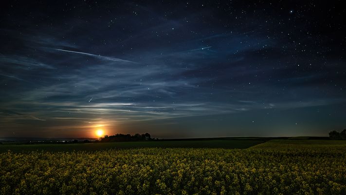 Mondlicht über dem Rapsfeld