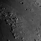 Mondmosaik Detail Ausschnitt 1   (Vallis Alpes)