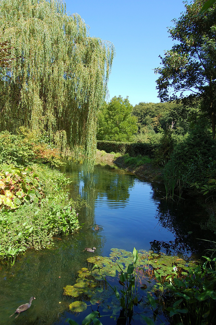 Mondo Verde