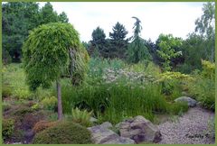 Mondo-Verde - Chinesischer Garten