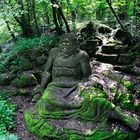 Mondo Verde - geheimnisvoll im Wald verborgen - Neptun