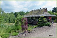 Mondo-Verde - - Haus im chinesischen Garten