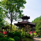 Mondo Verde - im chinesischen Garten
