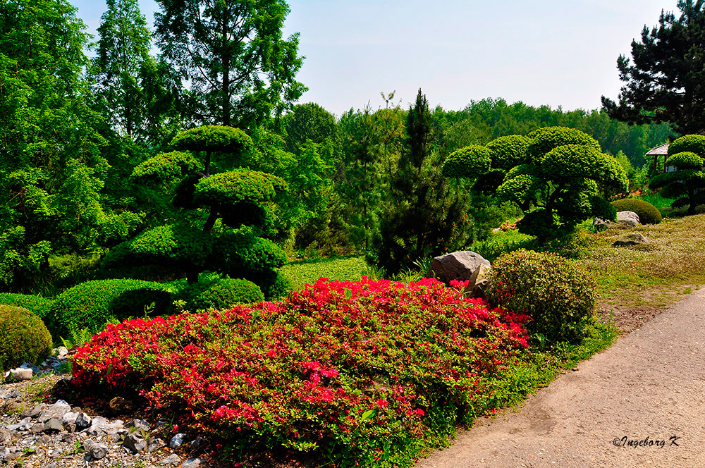 Mondo Verde - japanische Gartenanlage