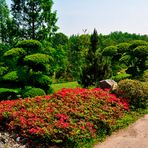 Mondo Verde - japanische Gartenanlage