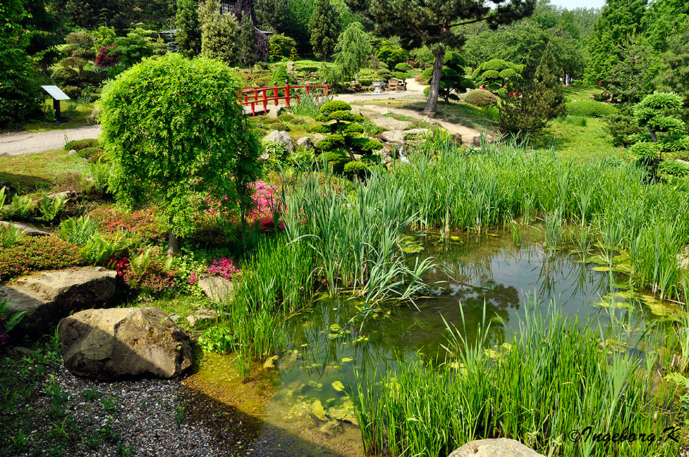 Mondo Verde - japanischer Garten