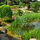 Mondo Verde - japanischer Garten