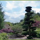 Mondo-Verde - Japanischer Garten