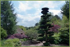 Mondo-Verde - Japanischer Garten