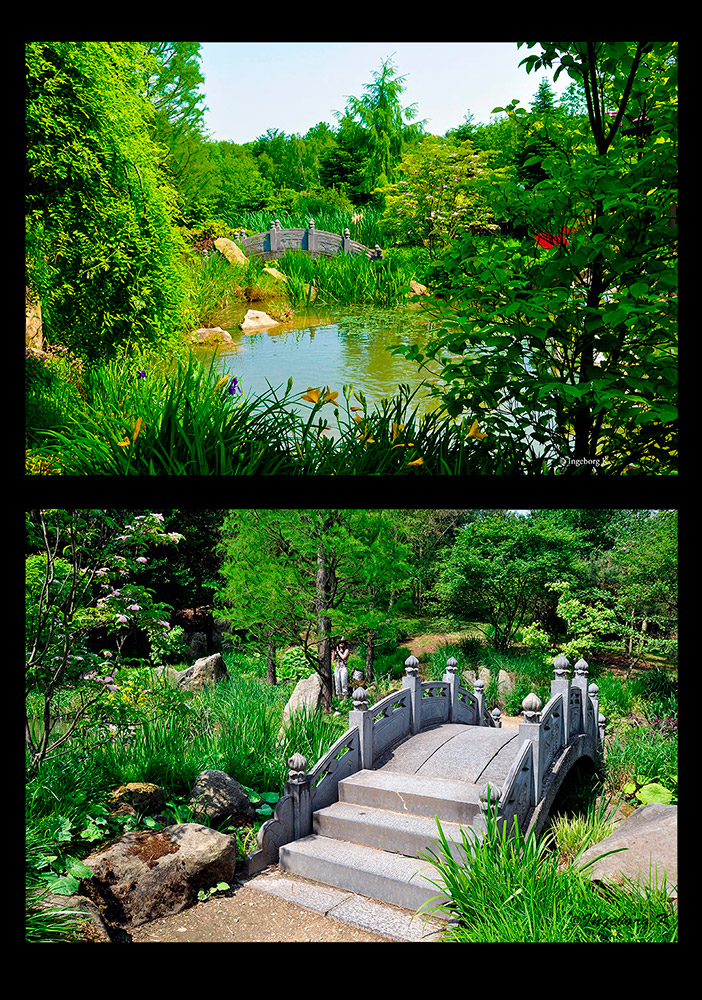 Mondo Verde - Teich und Brücke - chinesischer Garten
