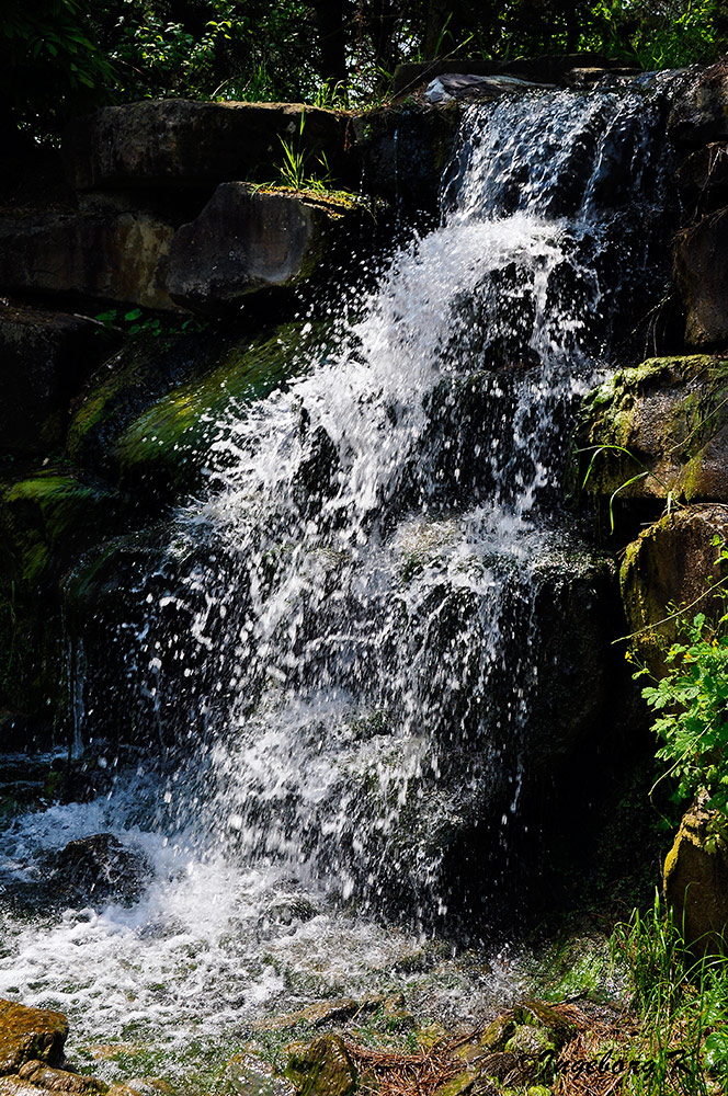 Mondo Verde - Wasserfall