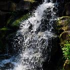 Mondo Verde - Wasserfall