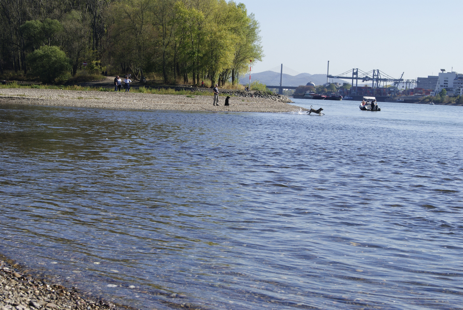 Mondorfer Hafen am Rhein bei Bonn