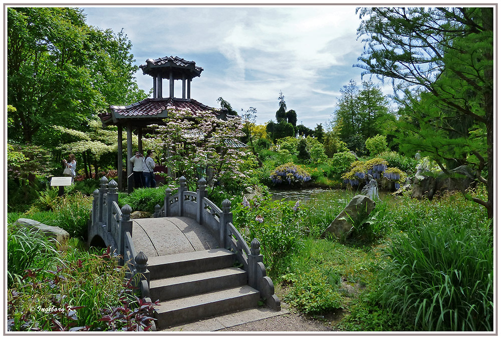 Mondoverde - chinesischer Garten 2