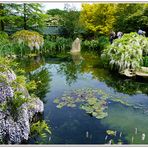 Mondoverde - Teichidylle im chinesischen Garten