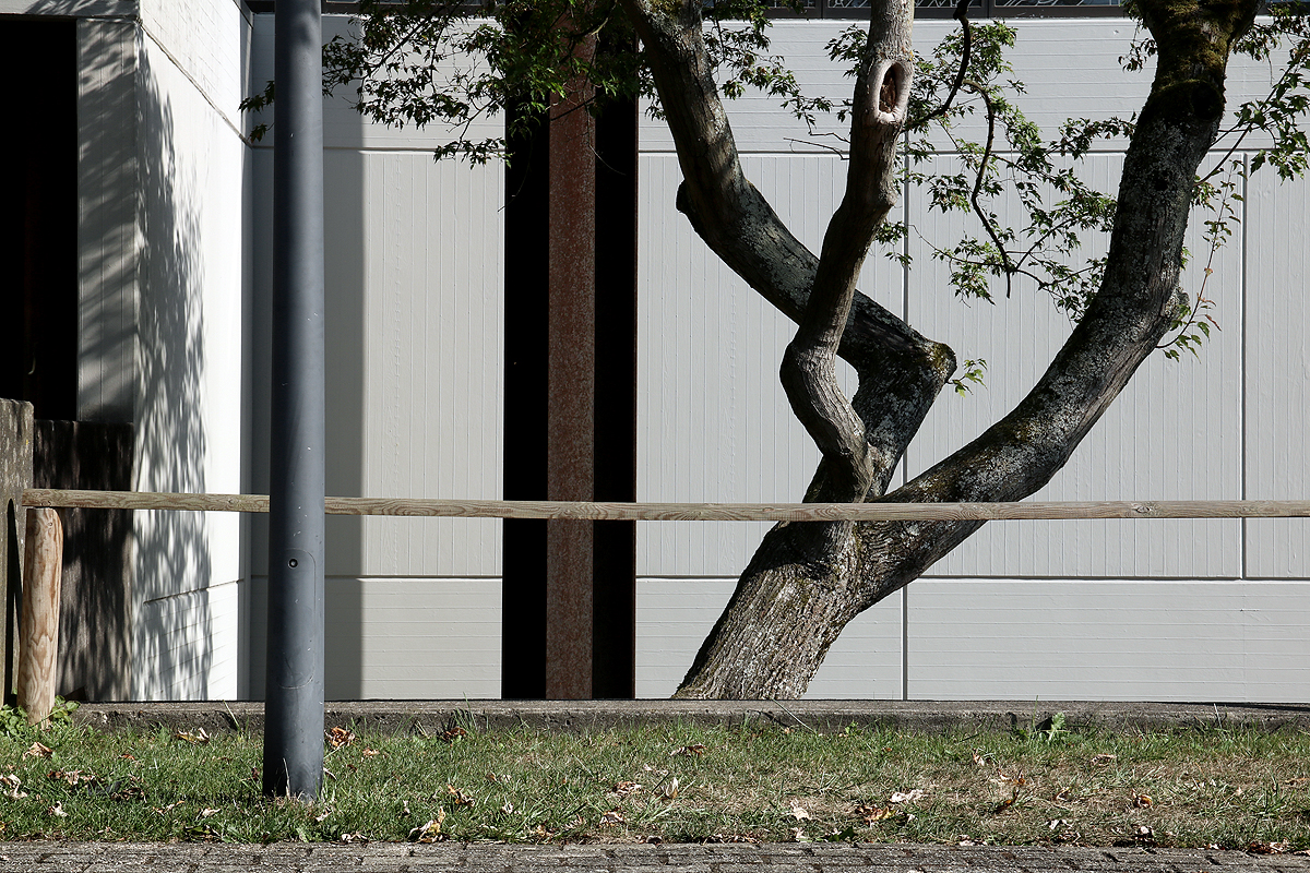 Mondrian - und Baum