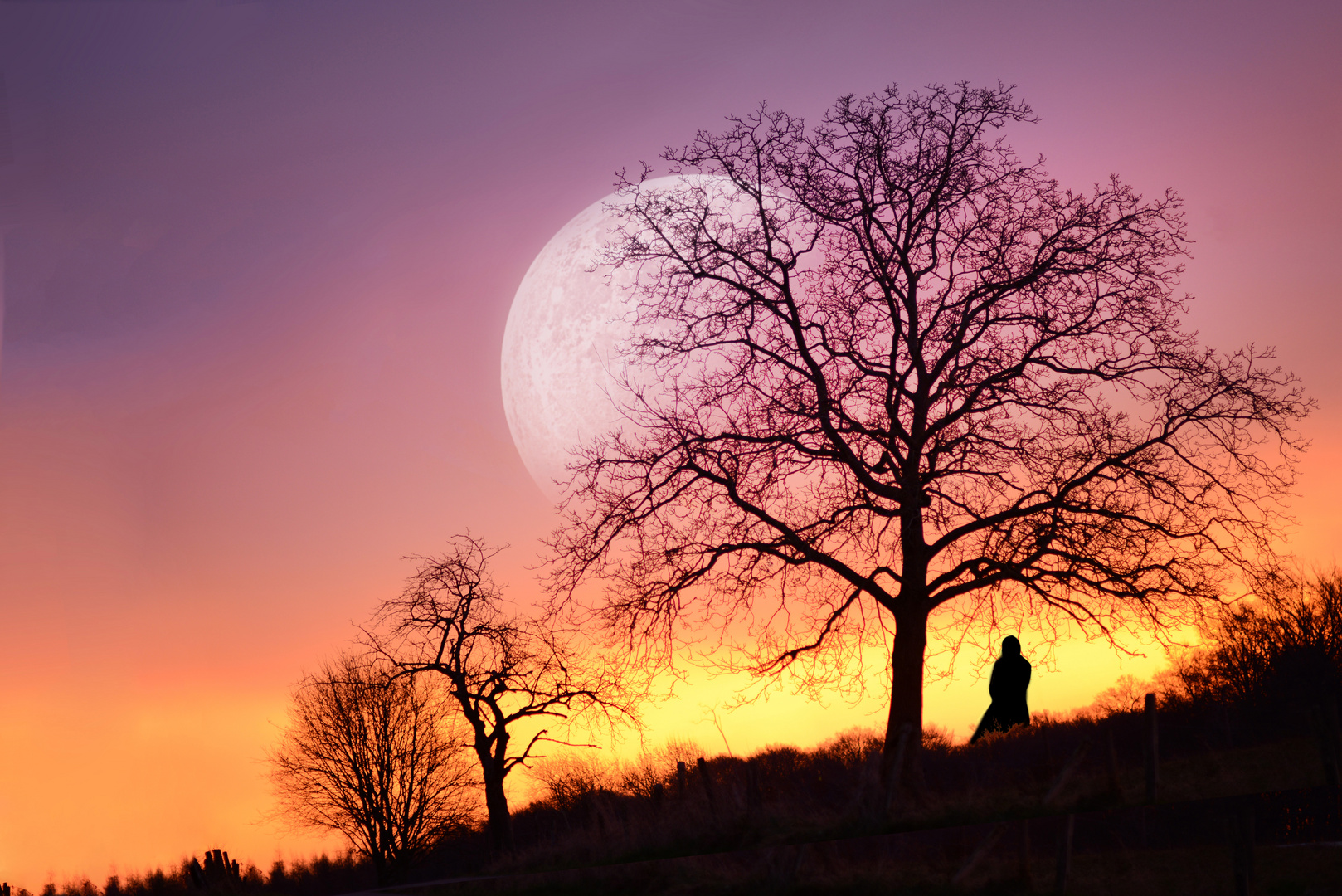 Mondschein Foto & Bild | fotomontage, composing , composing Bilder auf ...
