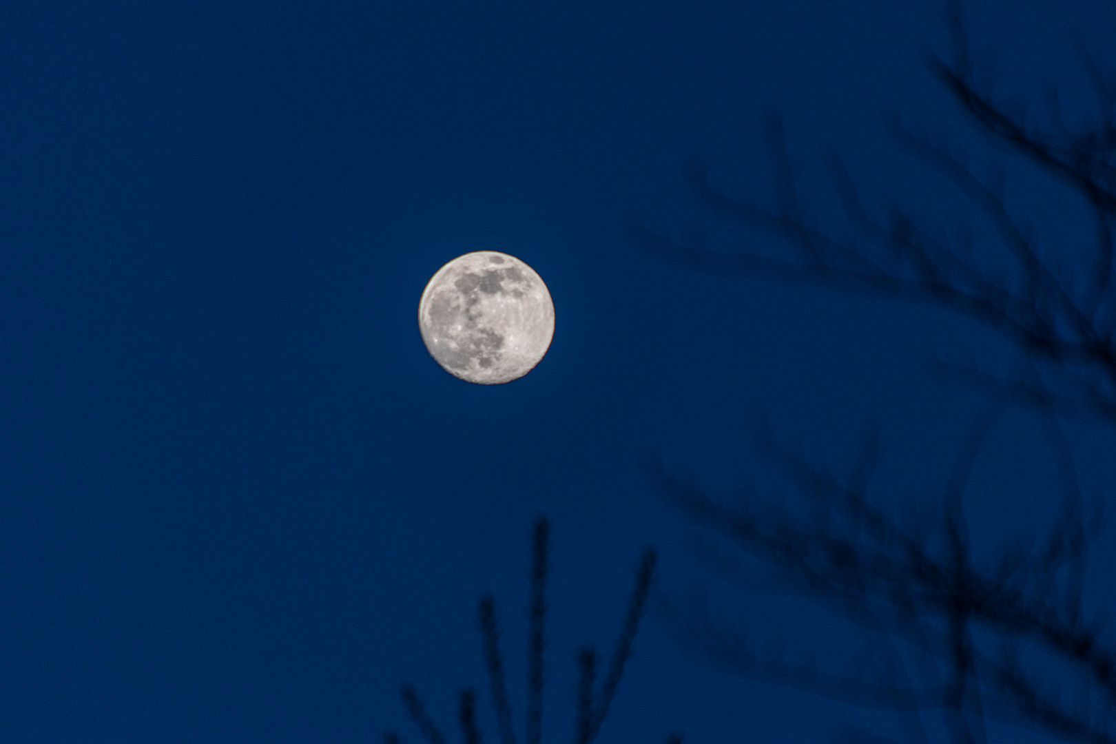 Mondschein Foto & Bild | landschaft, naturlandschaft bei nacht ...